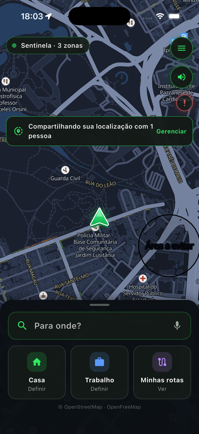 Mapa acartunado com uma zona marcada pelo usuário